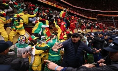 AFCON 2025 Final : Senegalese Supporters Receive a “Fair Trial”, Says Moroccan Human Rights Organization