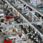 Morocco’s Industrial sector sees 41% female workforce, signaling a silent transformation