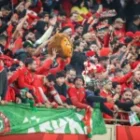 World Cup 2026: Royal Air Maroc boosts travel options for Morocco fans