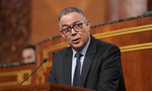 Fouzi Lekjaa : from football to the Ministry of Finance
