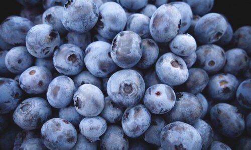 Blueberries : Morocco joins the top five in Switzerland