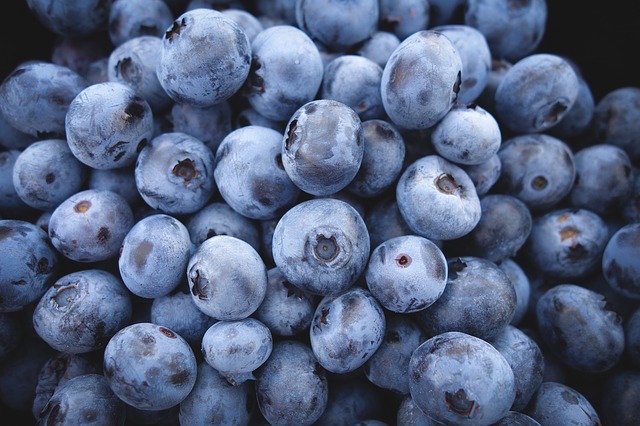 Blueberries : Morocco joins the top five in Switzerland